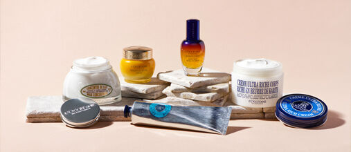 l'occitane best sellers including almond, shea butter, and immortelle divine
